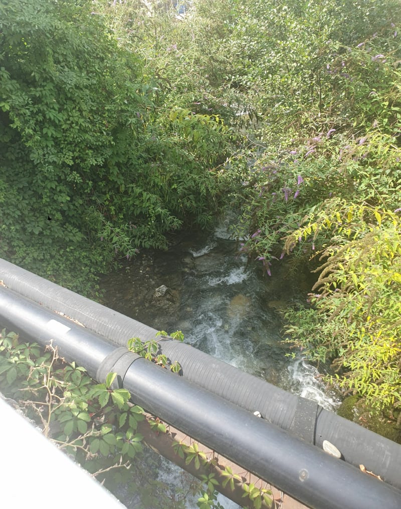 Tour de Brignoud - Froges