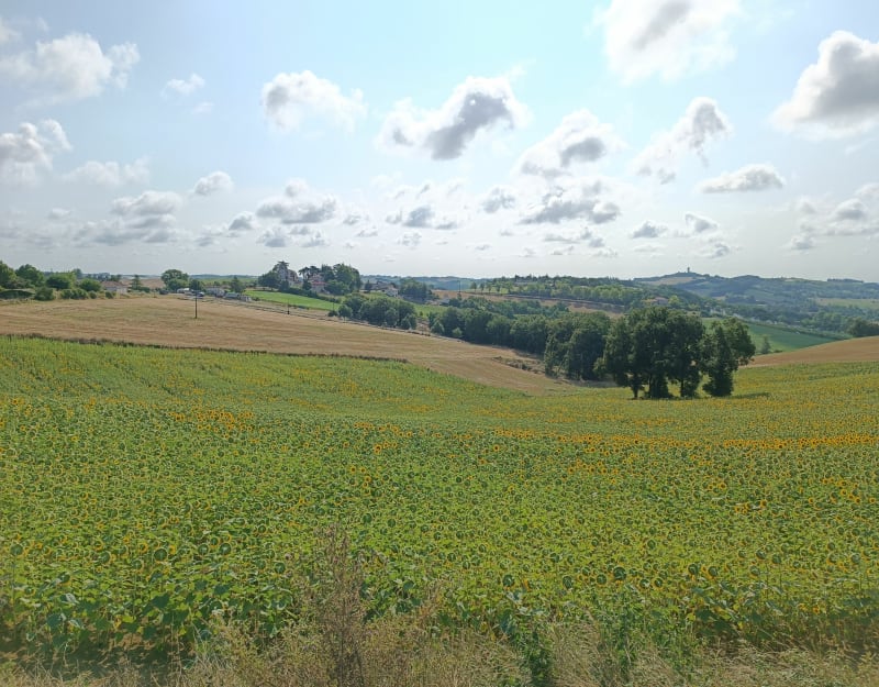 Circuit du château de Goudourville - Pommevic