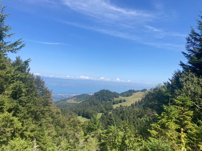 Le grand tour du Mont Forchat - Habère-Poche