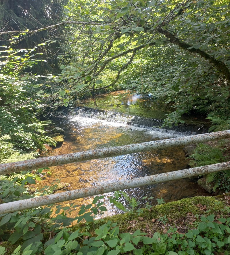 Boucle par le Cayla - Sousceyrac-en-Quercy
