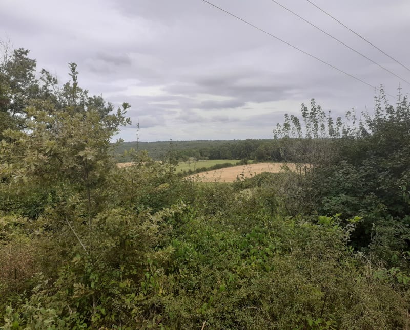 Randonnée aux alentours de Saint-Moré - Saint-Moré