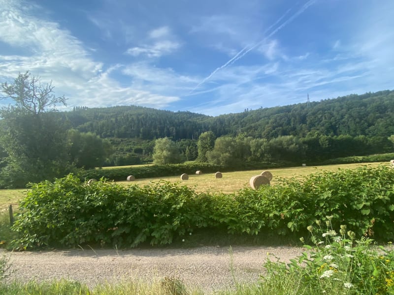 Balade de Liepvre à Bois l’Abbesse - Lièpvre