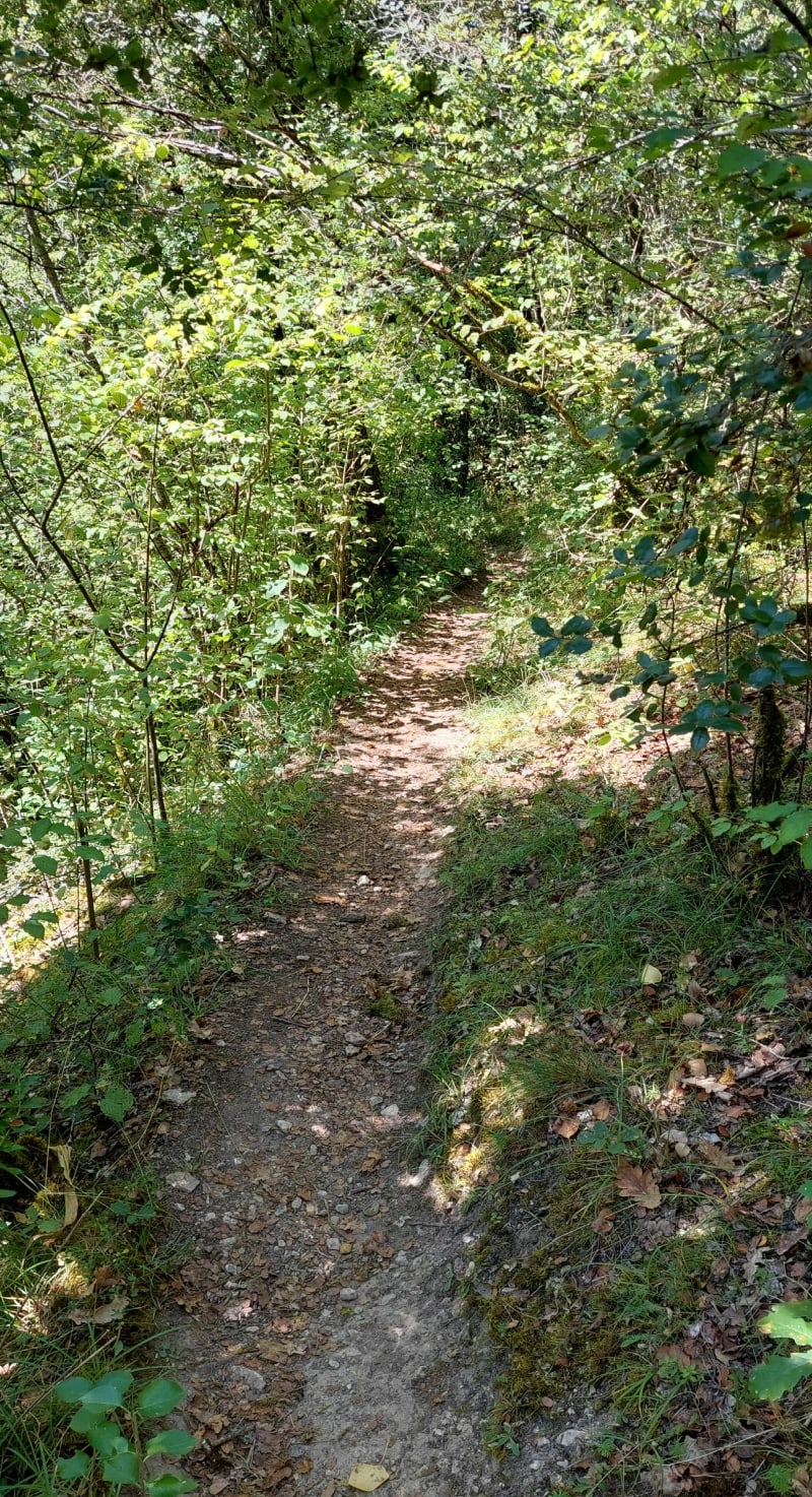 Maissoneuve vallée de Céou - Castelnaud-la-Chapelle