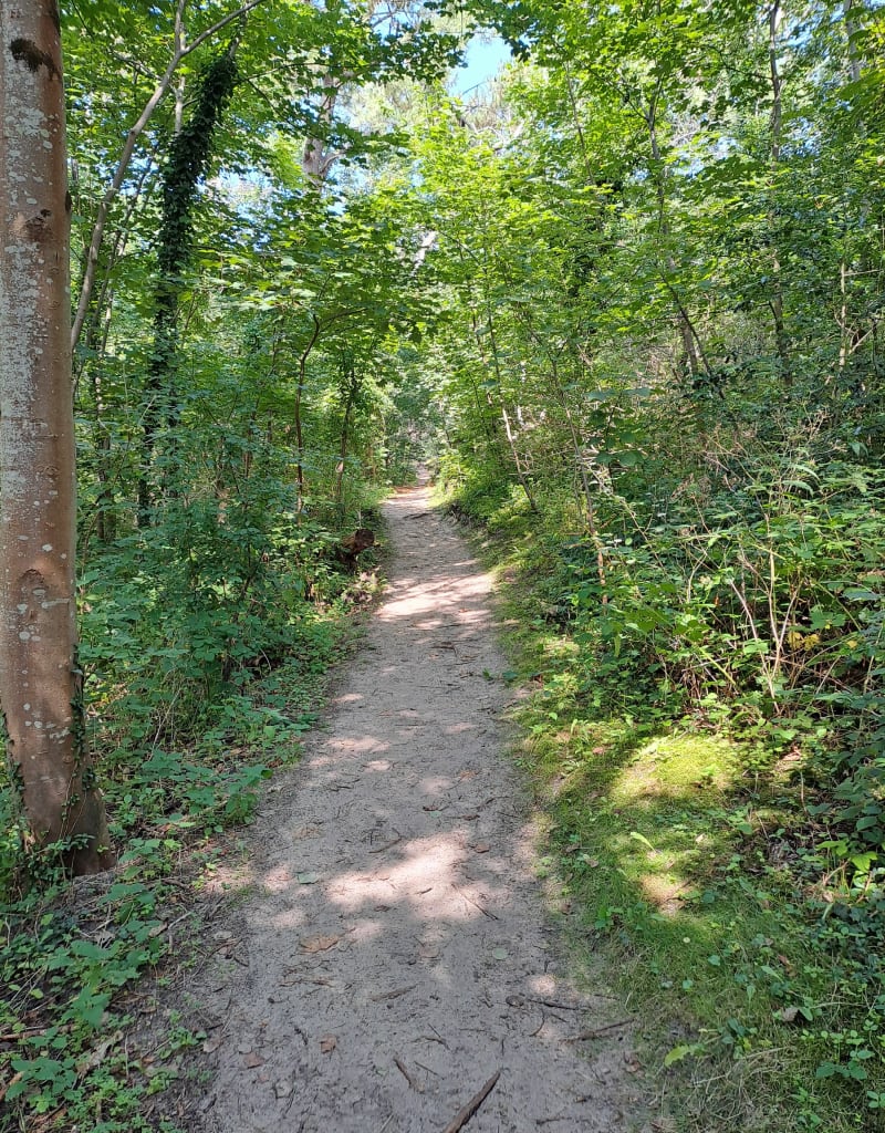 Sentier du Pré Catelan, Ecault - Neufchâtel-Hardelot