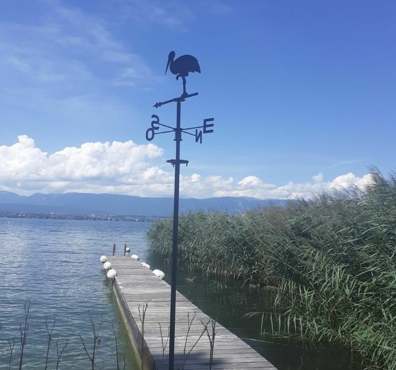 Le long du Lac Léman - Chens-sur-Léman