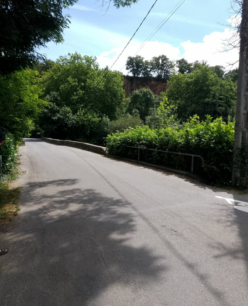 Le long de la Maine - Château-Thébaud
