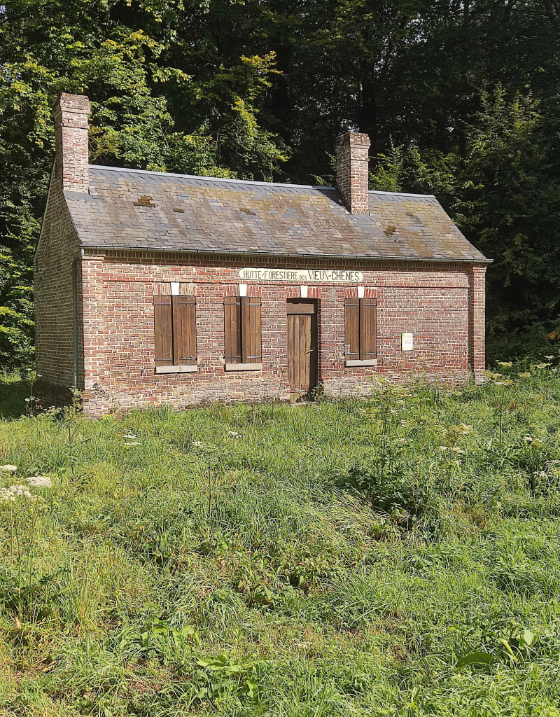 Boucle en forêt de Crécy - Crécy-en-Ponthieu