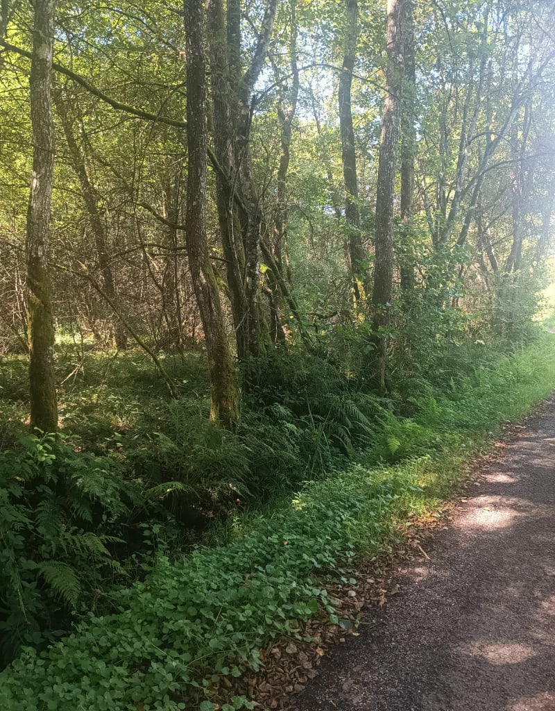 Randonnée chemin du sygle à Melisey - Mélisey