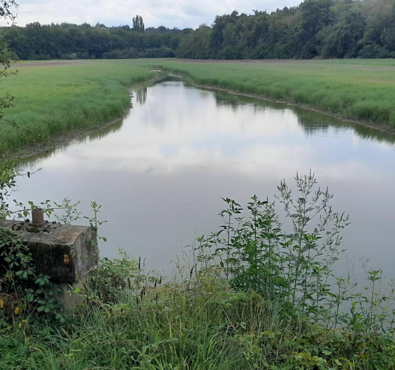 Chalamont, les 4 chemins, étangs de la Dombes - Chalamont