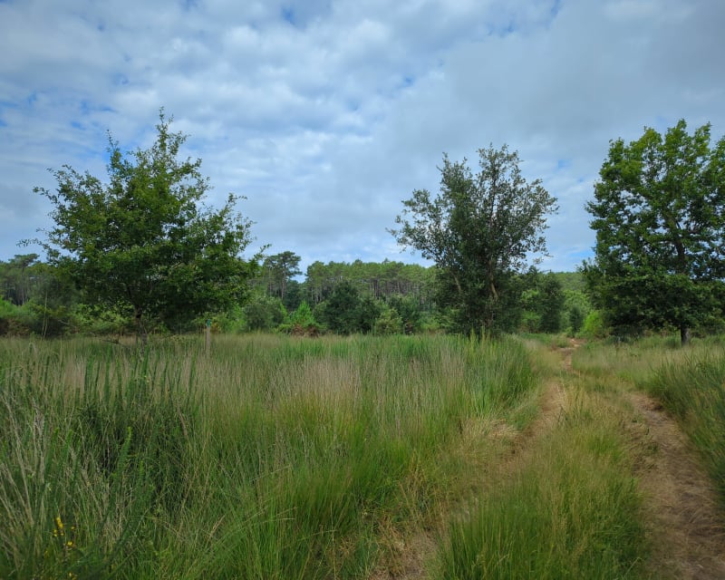 Quelques kilomètres sur le chemin de Compostelle - Vielle-Saint-Girons