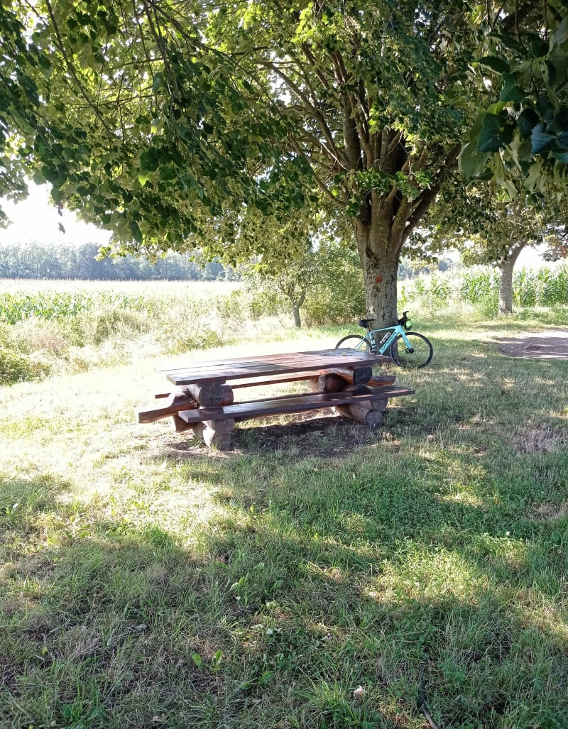 Le Ried entre Strasbourg et Sélestat - Illkirch-Graffenstaden