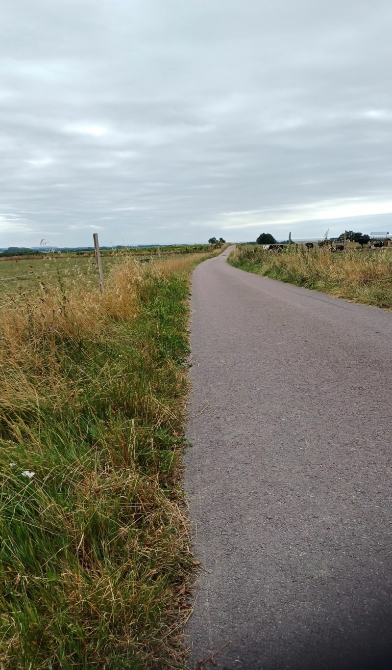 Chemin des Matelots autour de Lingreville - Tourneville-sur-Mer