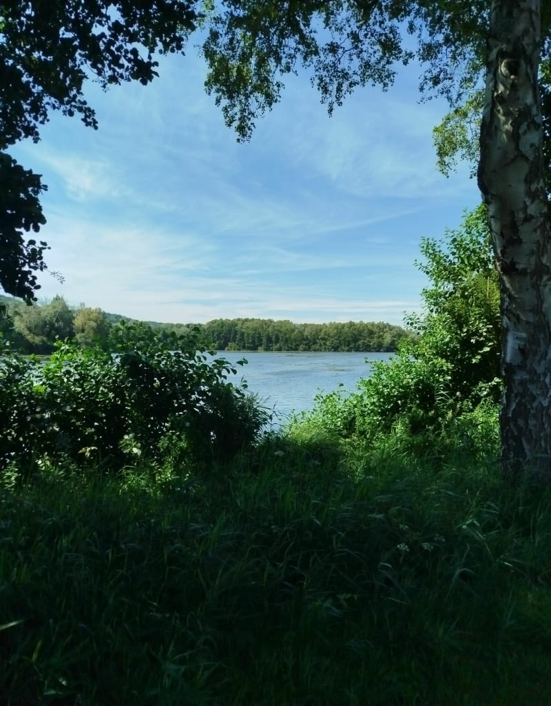 Balade au bord de l'eau à Bouvaincourt sur Bresle - Bouvaincourt-sur-Bresle