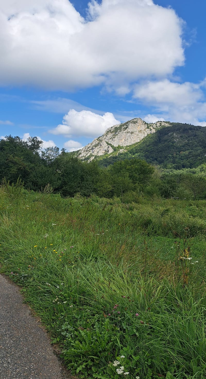 Estive de Prémaout à partir de Montsegur - Montségur