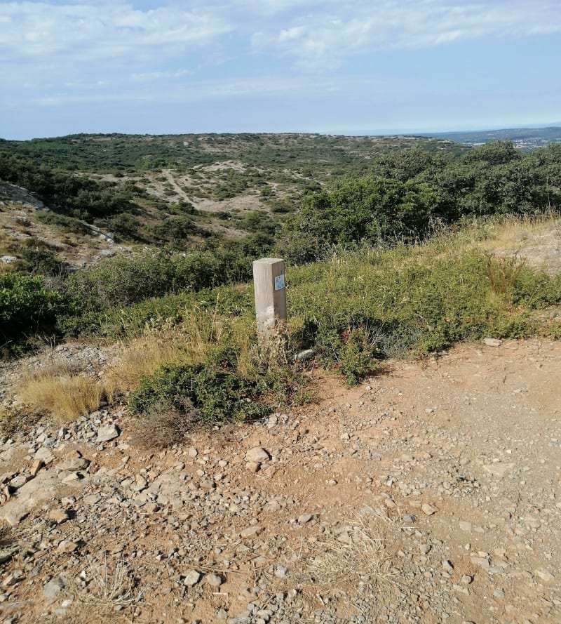 Vue panoramique de Palavas à Frontignan - Vic-la-Gardiole