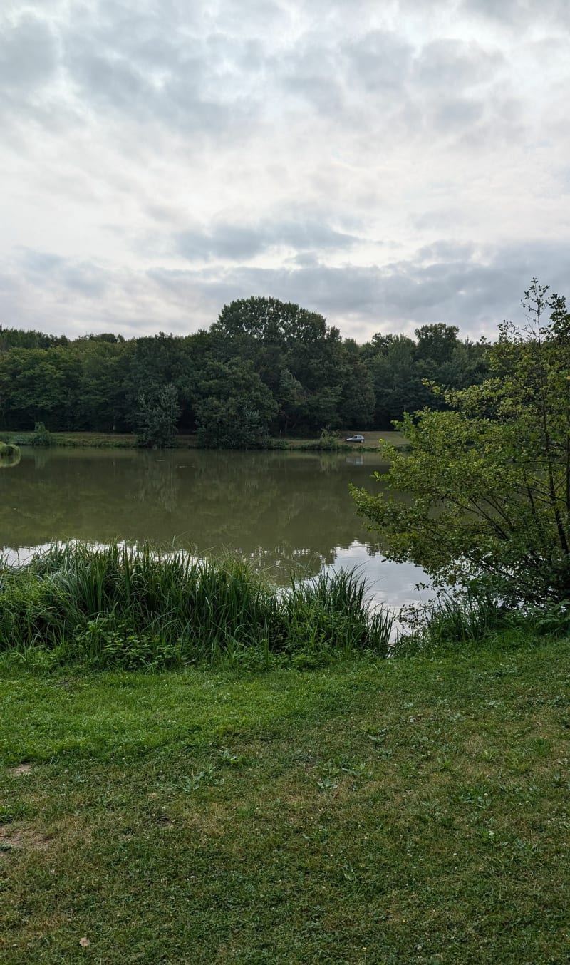 Autour de l'étang de Nouzilly - Nouzilly