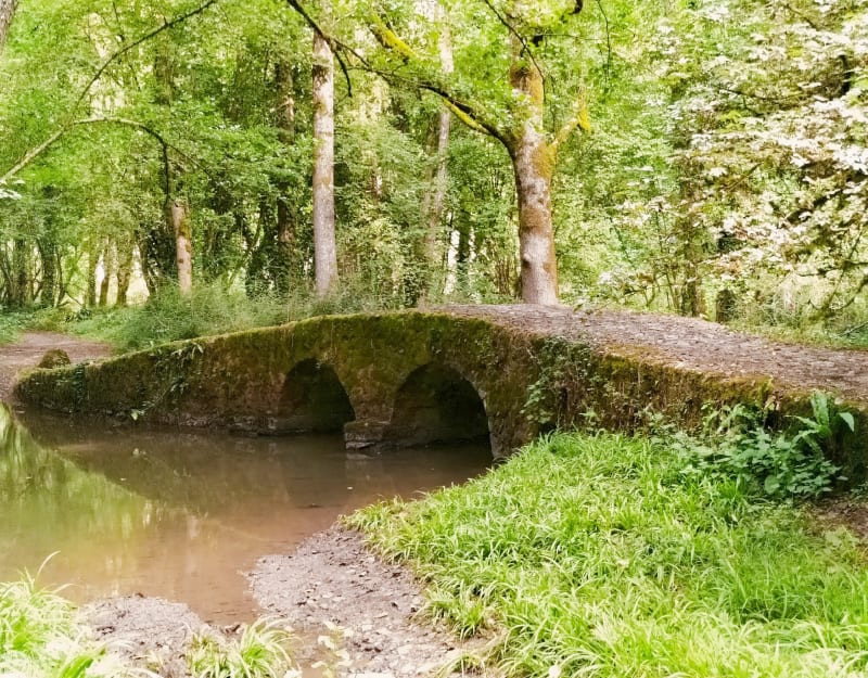 Auprès du lac de Lambon - Prailles-La Couarde