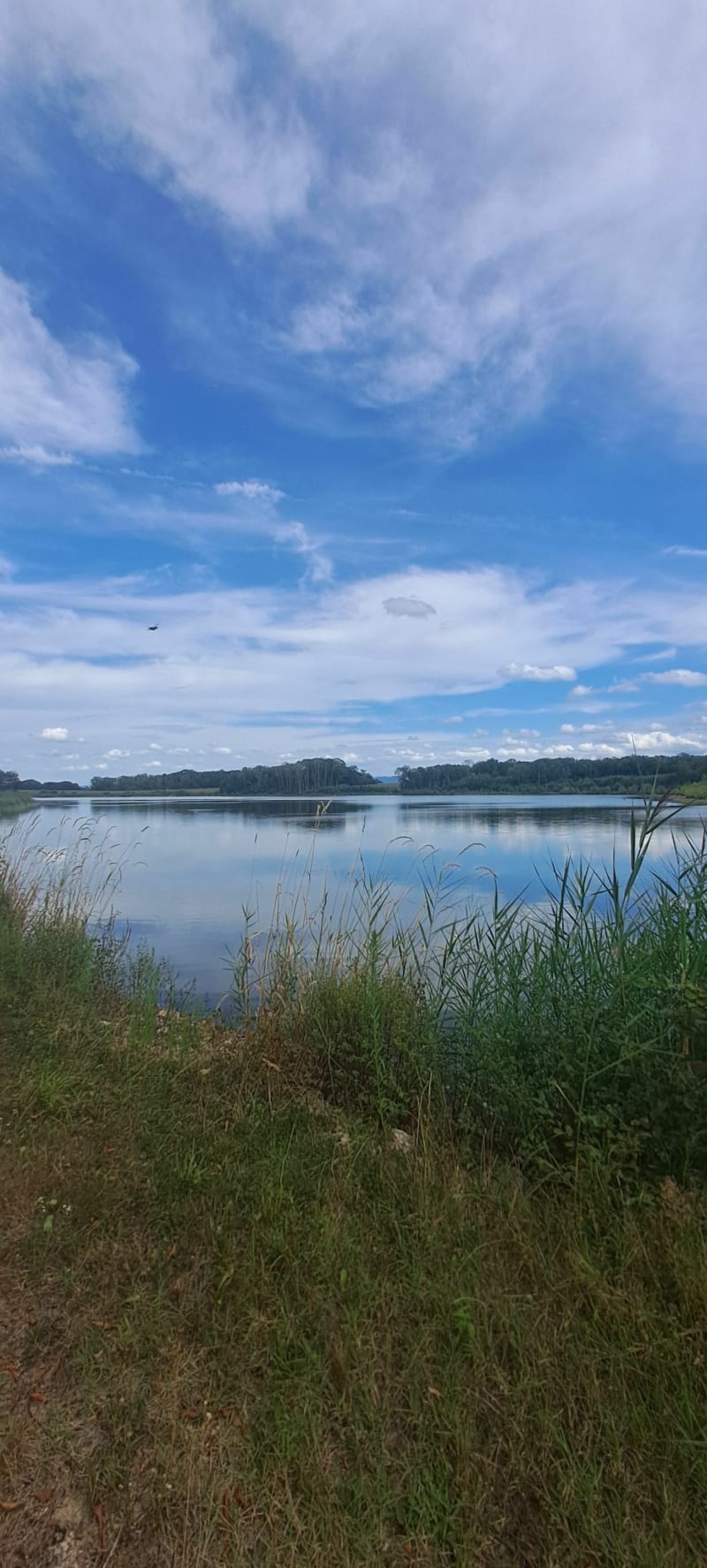 Étang Lénière, et vue sur le Bugey - Châtillon-la-Palud