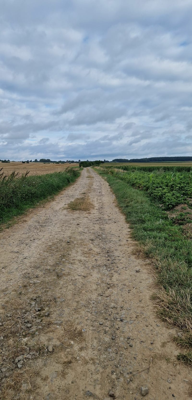 Balade  nature entre Auchel et Burbure - Lozinghem