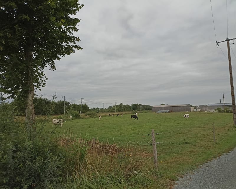 D'Étriché aux bords de Sarthe - Étriché