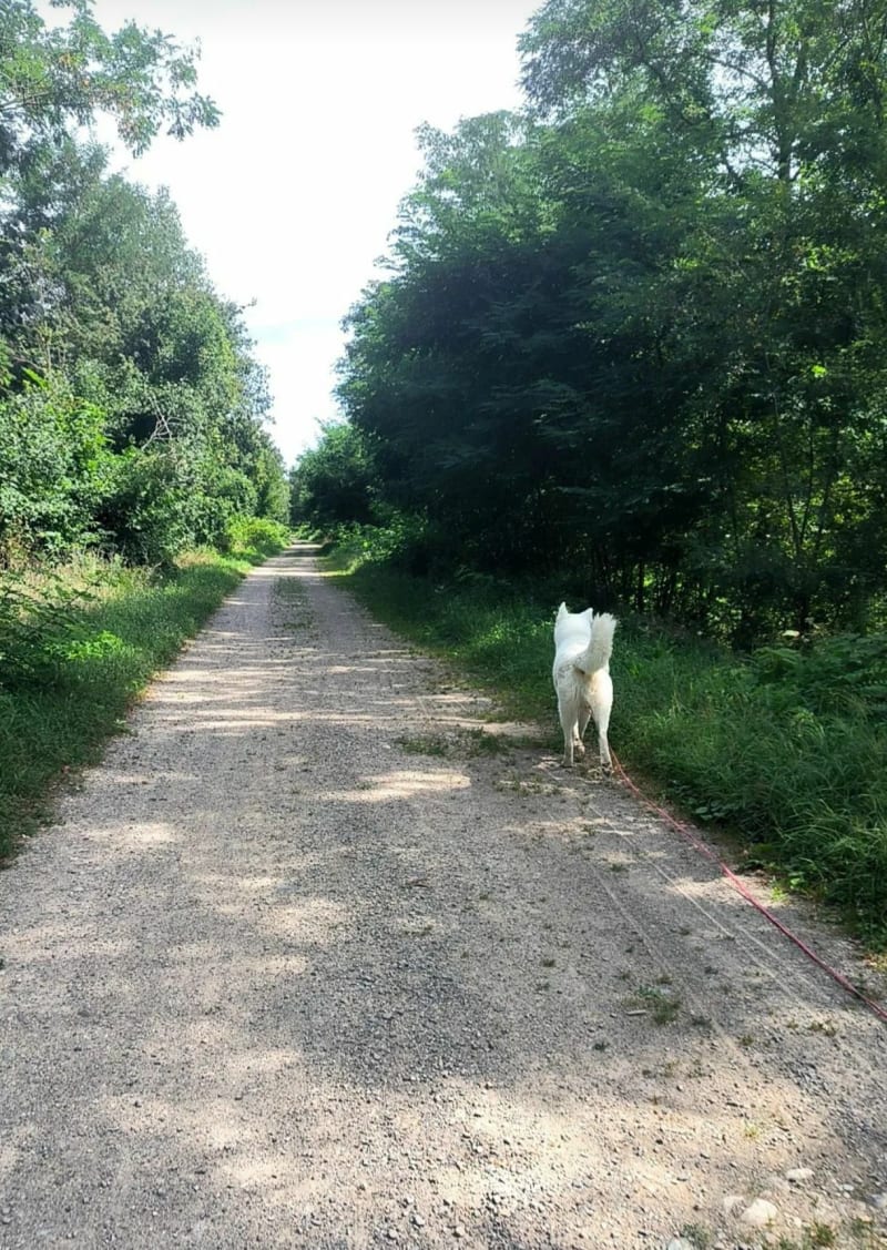 Le long de la Thur - Pulversheim