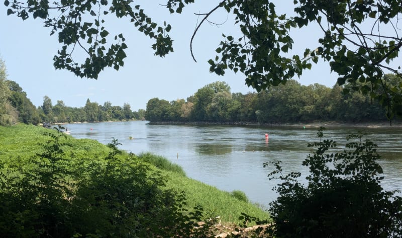 Île de Chalonnes - Chalonnes-sur-Loire
