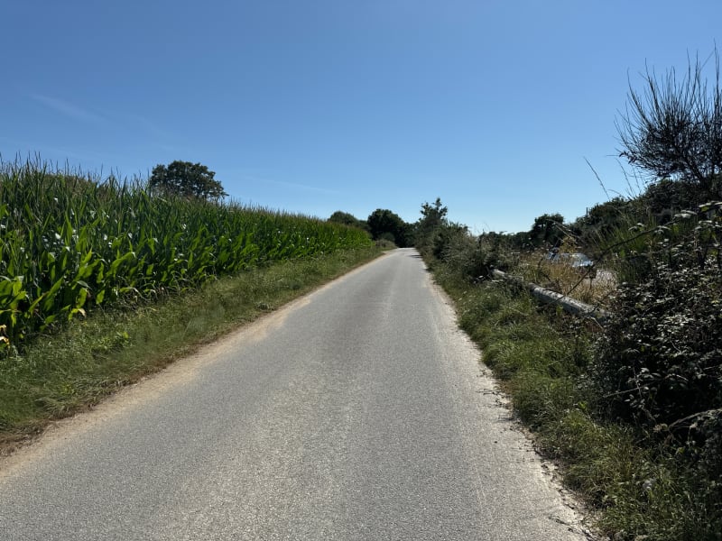 De Vannes à l’océan en passant par le domaine de Suscinio - Vannes