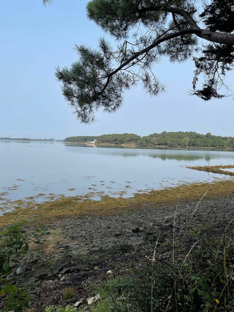 La ria d'Etel, entre sous-bois et bras de mer - Locoal-Mendon