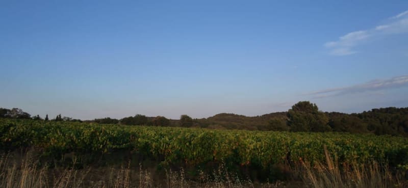 Tour des Mayolles par la Matte - Villegly
