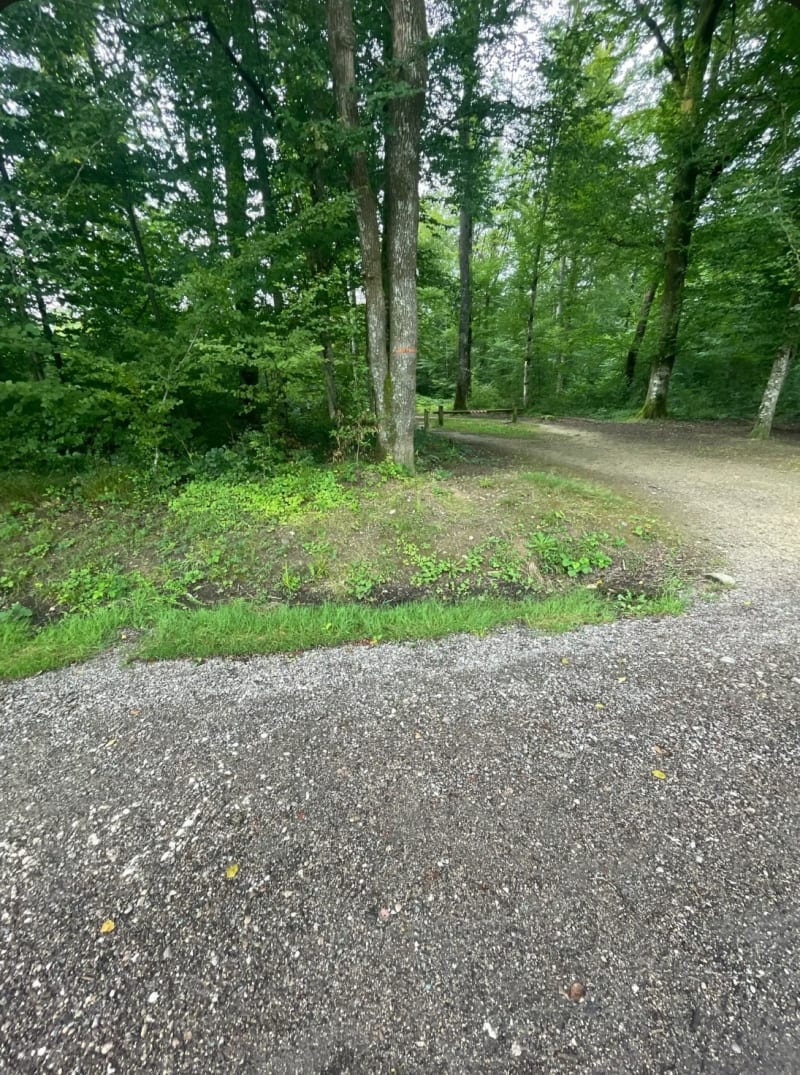 Canal et parcours santé des Forges - Golbey