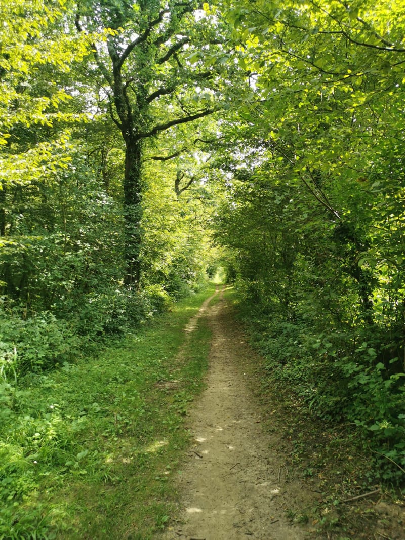 Petite randonnée familiale en forêt de Boulogne - La Capelle-lès-Boulogne