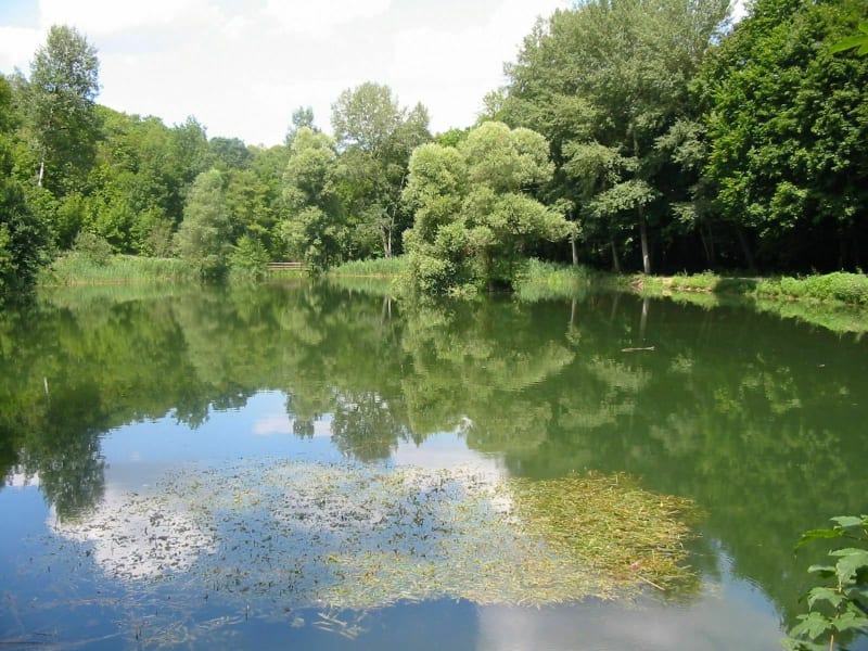 Tour de la forêt de Bouxières-aux-Dames et Tour du Crany - Bouxières-aux-Dames