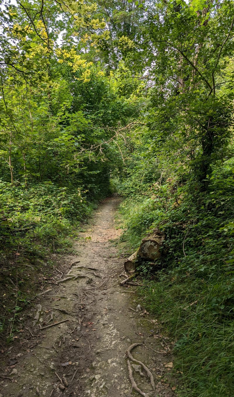 Randonnée dans les environs de Belbeuf - Saint-Aubin-Celloville