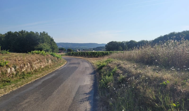 Entre vallée et colines depuis Puy-l'Évêque - Puy-l'Évêque