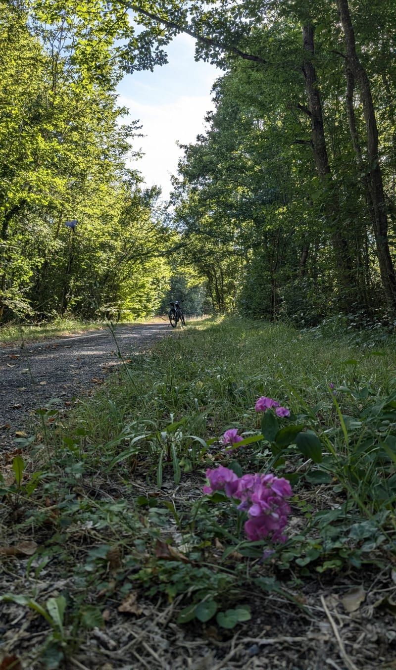 Promenade en Moulière - Bellefonds