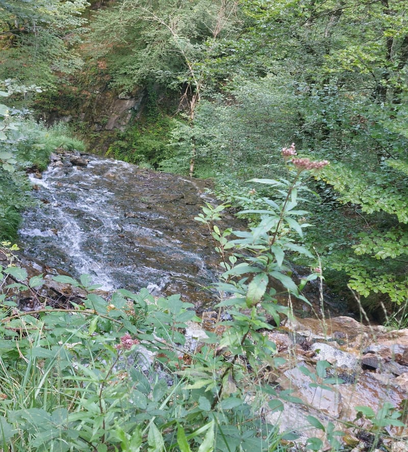 Petite cascade dArs - Aulus-les-Bains