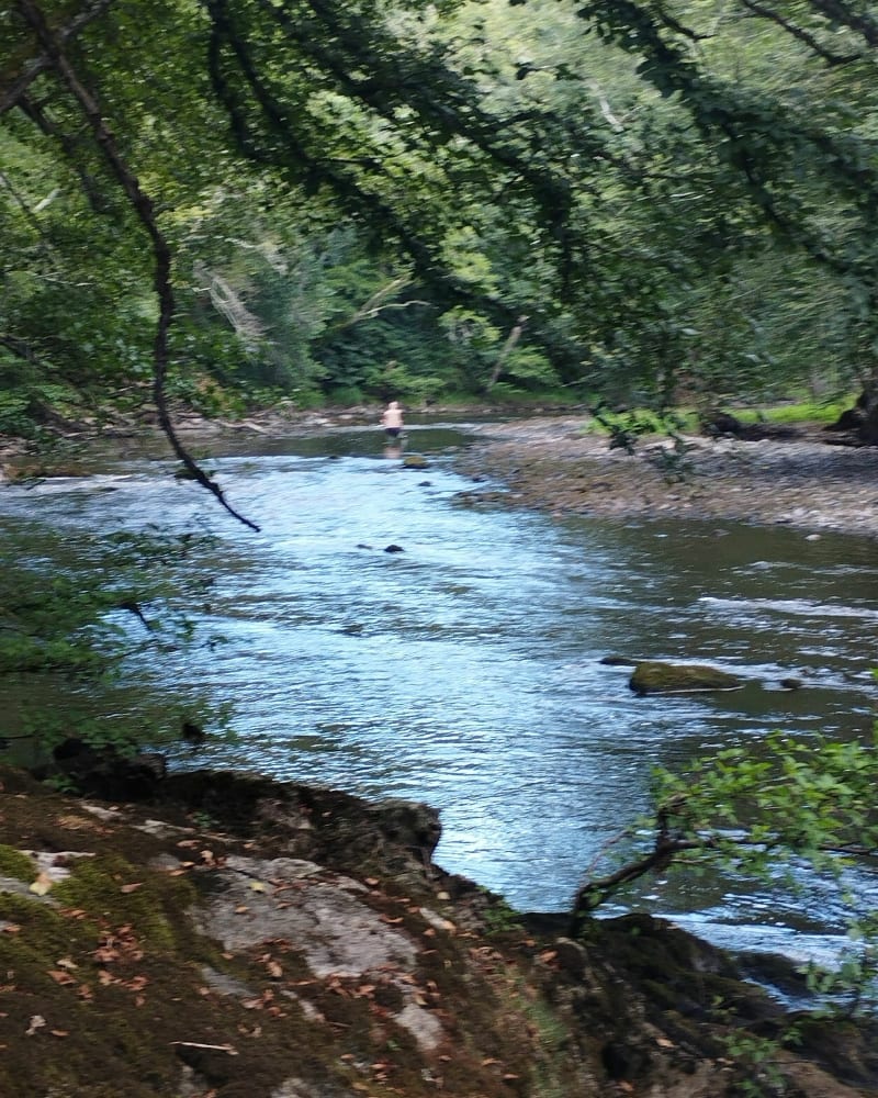 Balade sur les bords de Creuse - La Celle-Dunoise