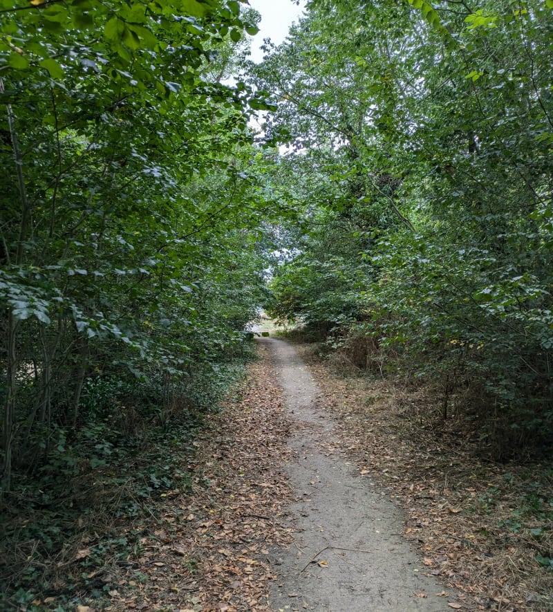 Autour du golf de Biéville-Beuville - Biéville-Beuville