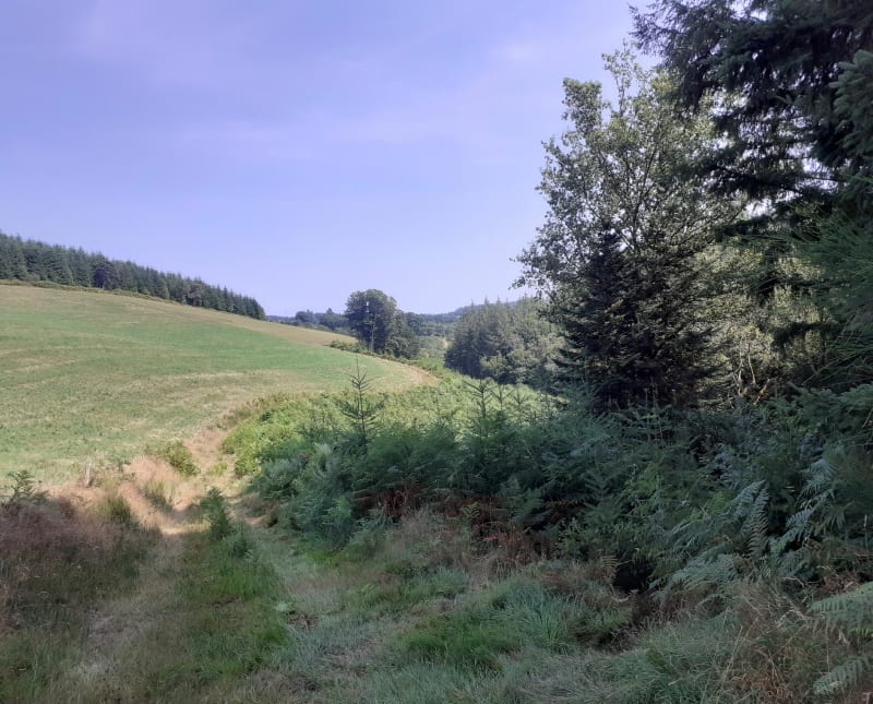 Ruisseau de Lestards et ses cascades - Lestards