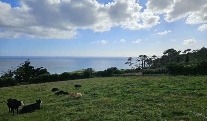 Boucle autour de Telgruc-sur-Mer - Telgruc-sur-Mer