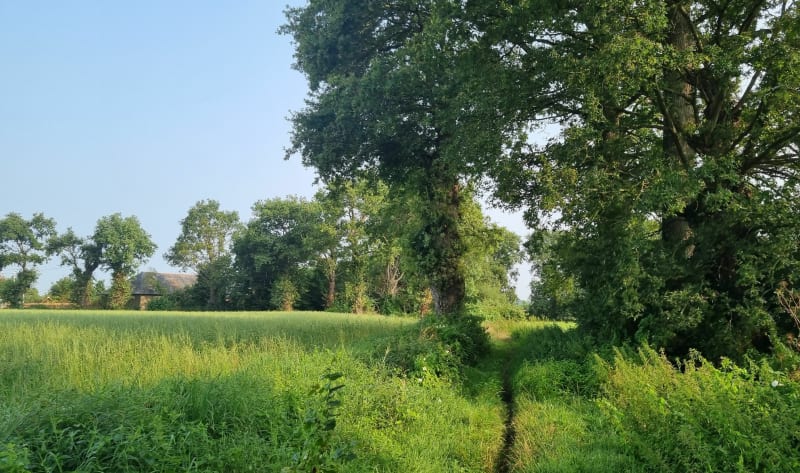 Boucle depuis Vern Sur Seiche - Vern-sur-Seiche
