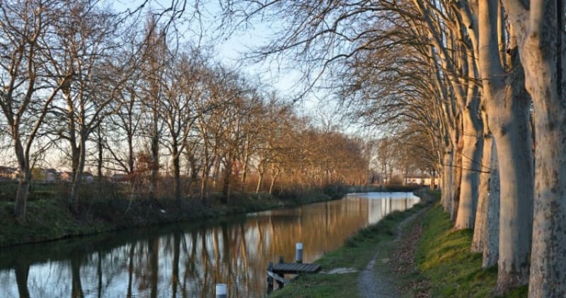 Boucle pédestre Paul Sabatier vers Castanet par le canal - Toulouse