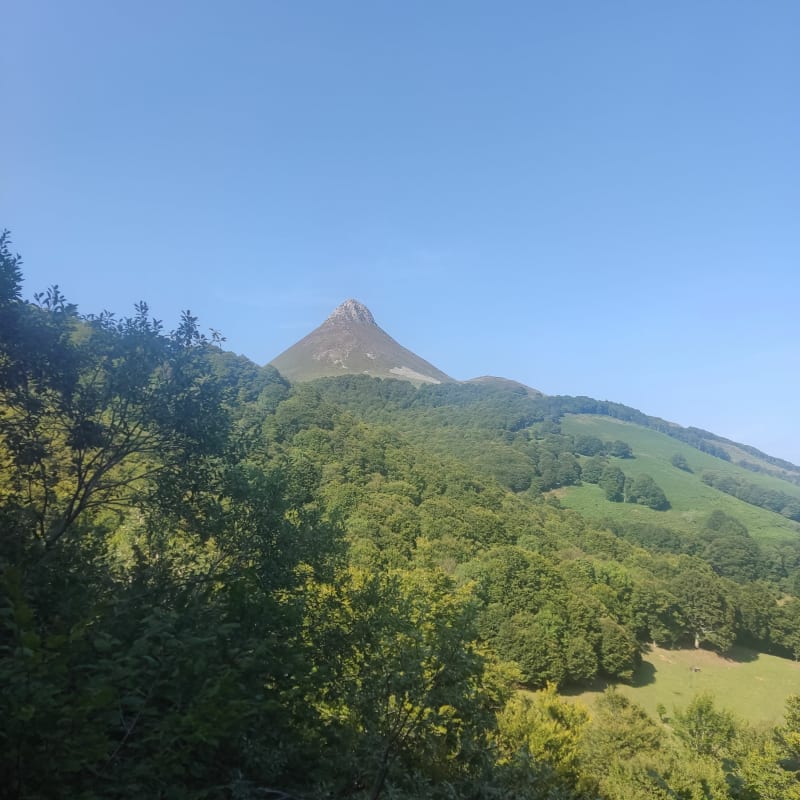 Boucle de Saint-Jacques-des-Blats au Puy Griou - Saint-Jacques-des-Blats