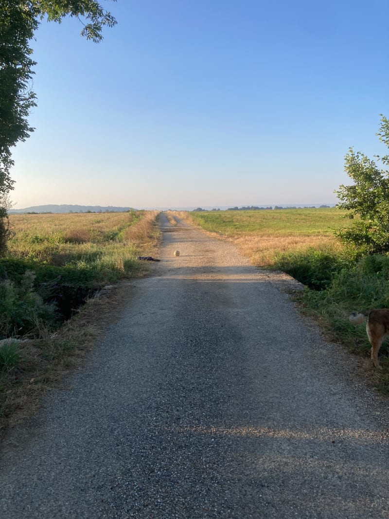 Entre plaine et forêt au départ de Faramans - Faramans