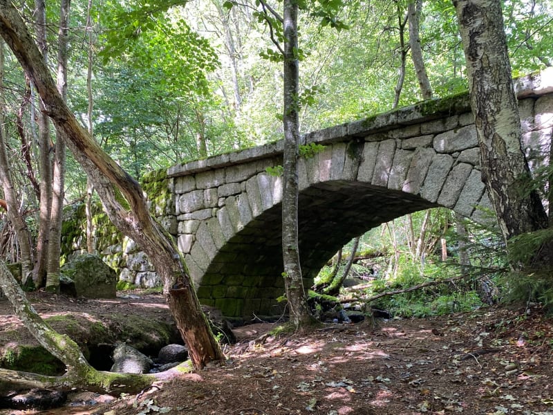 Cascade de la Fagette. - Chastel-Nouvel