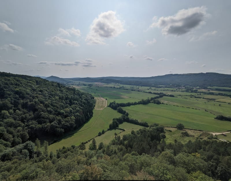 Tour dans les bois en passant par le belvédère du Fays - Gigny