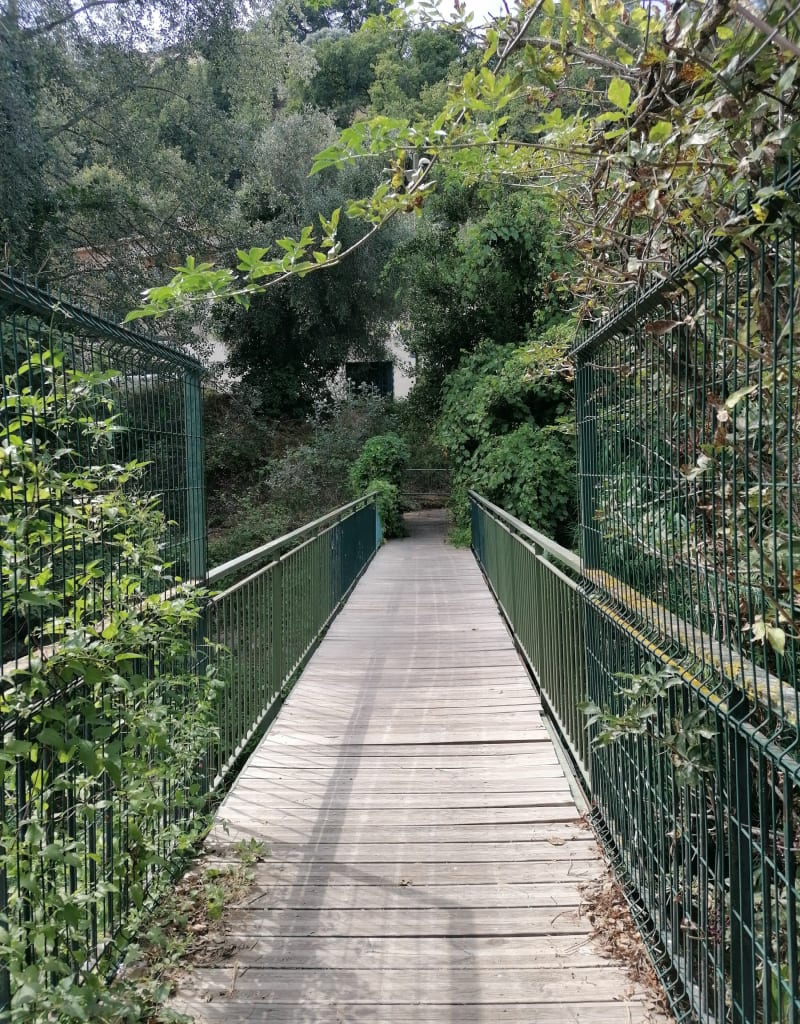 Val de Cagnes et retour par les Caucours - Cagnes-sur-Mer