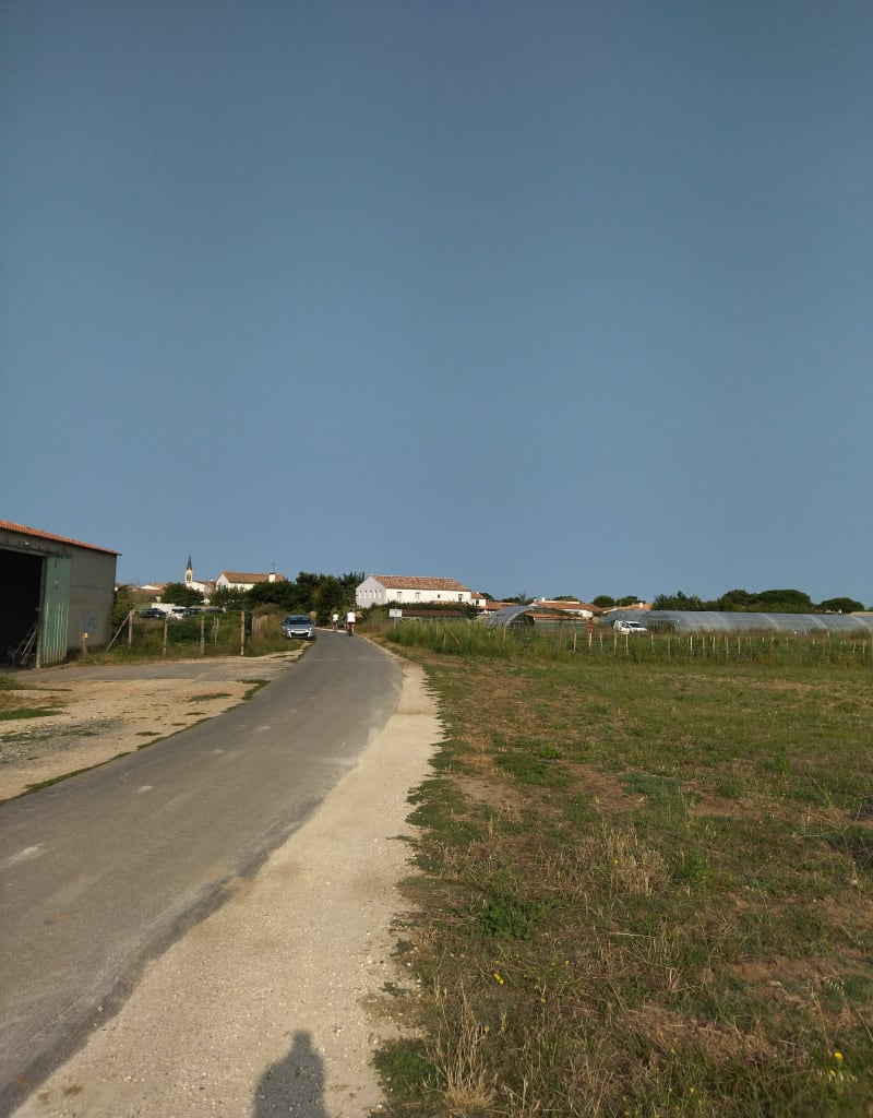 Ré entre vigne et océan - Le Bois-Plage-en-Ré