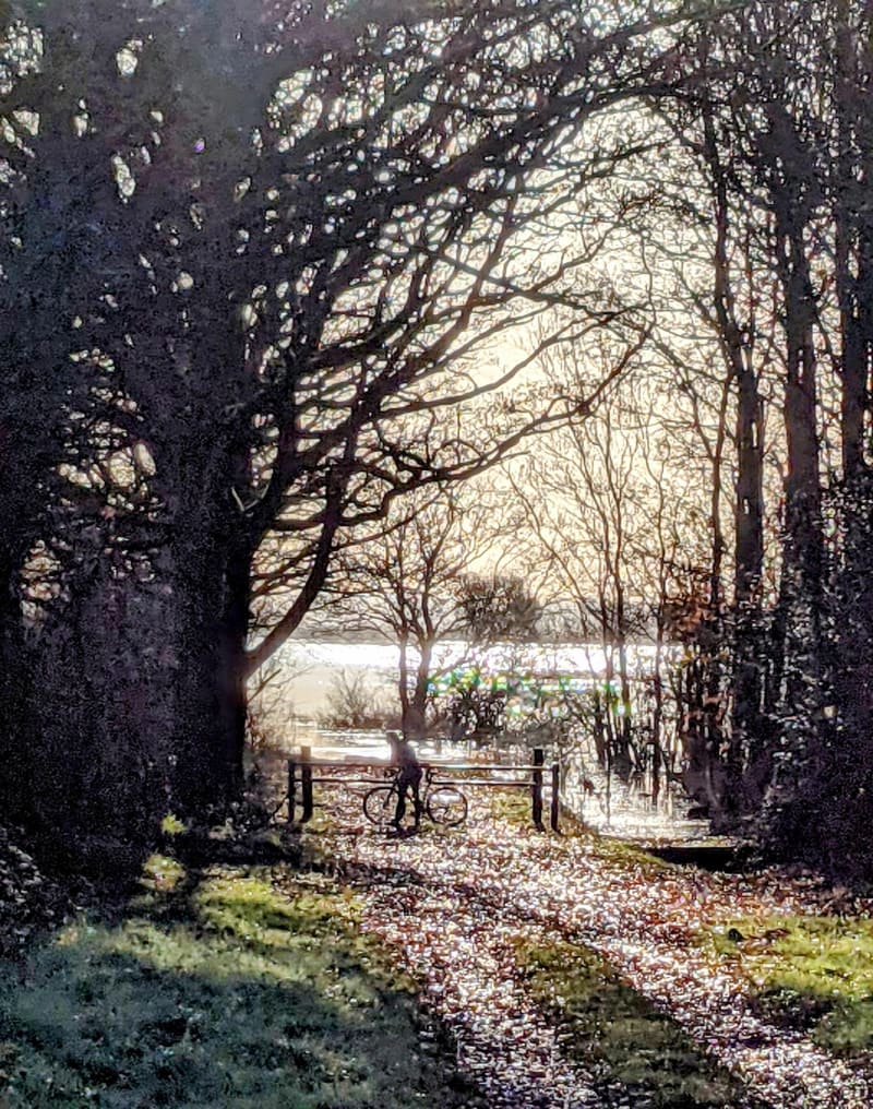 Grand tour du lac de Grand Lieu - Pont-Saint-Martin