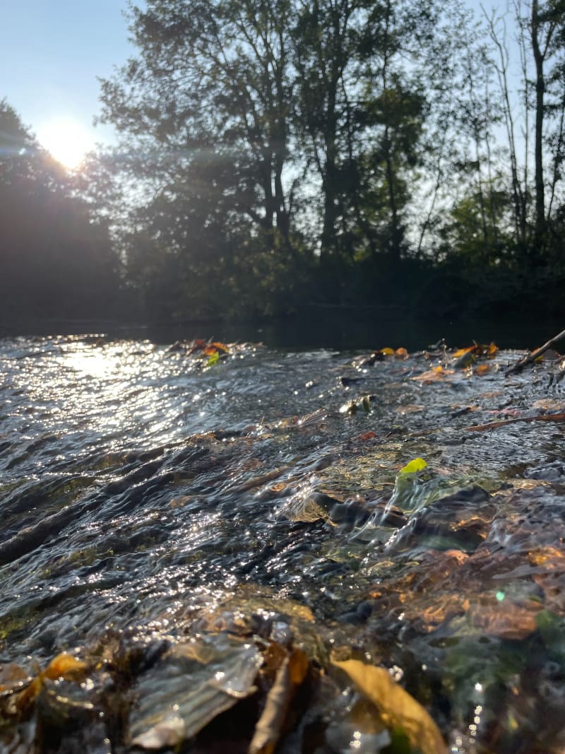 Bala de à Froideterre - Froideterre